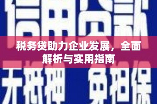 尉犁税务贷助力企业发展，全面解析与实用指南