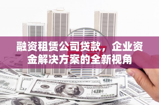 尉犁融资租赁公司贷款，企业资金解决方案的全新视角