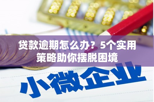 尉犁贷款逾期怎么办？5个实用策略助你摆脱困境