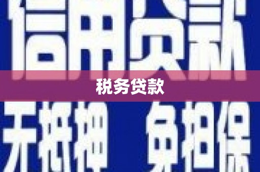 尉犁税务贷款