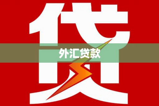 尉犁外汇贷款
