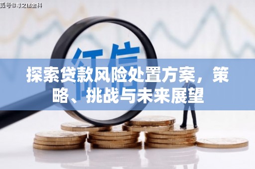 尉犁探索贷款风险处置方案，策略、挑战与未来展望