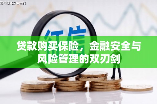 尉犁贷款购买保险，金融安全与风险管理的双刃剑