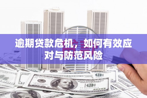 尉犁逾期贷款危机，如何有效应对与防范风险