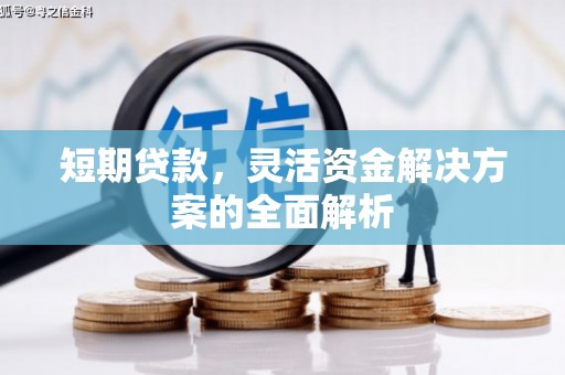尉犁短期贷款，灵活资金解决方案的全面解析
