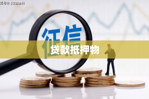 尉犁贷款抵押物