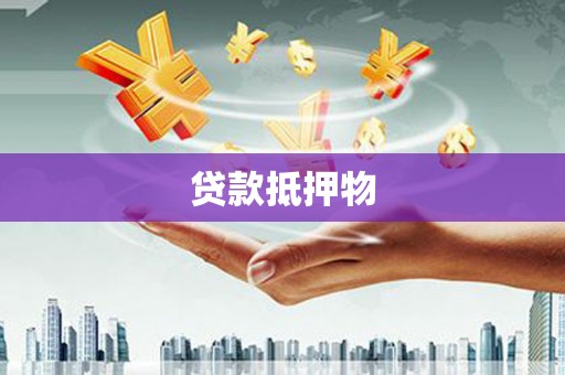 尉犁贷款抵押物