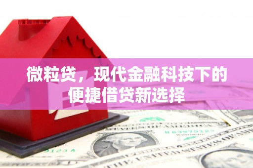 尉犁微粒贷，现代金融科技下的便捷借贷新选择