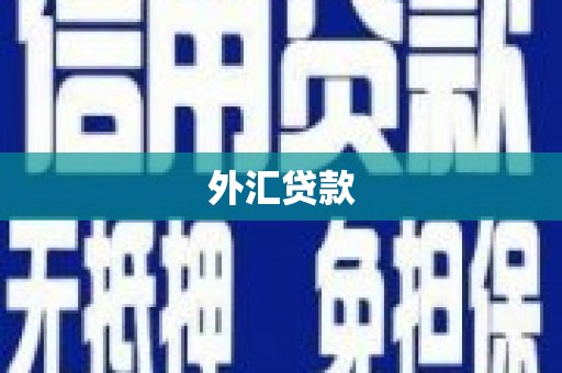 尉犁外汇贷款