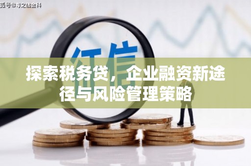 尉犁探索税务贷，企业融资新途径与风险管理策略