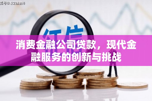 尉犁消费金融公司贷款，现代金融服务的创新与挑战