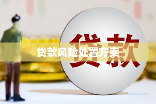 尉犁贷款风险处置方案