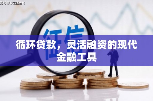 尉犁循环贷款，灵活融资的现代金融工具