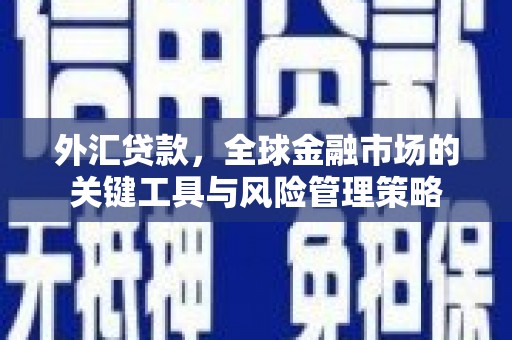 尉犁外汇贷款，全球金融市场的关键工具与风险管理策略