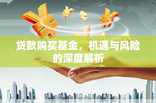 尉犁贷款购买基金，机遇与风险的深度解析