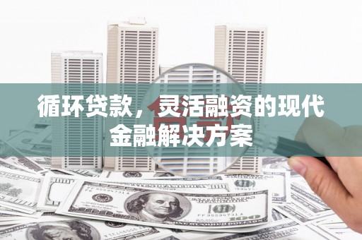 尉犁循环贷款，灵活融资的现代金融解决方案