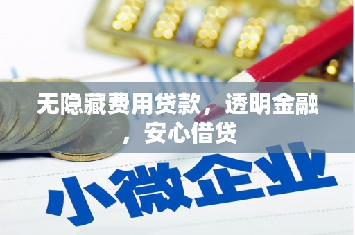尉犁无隐藏费用贷款，透明金融，安心借贷