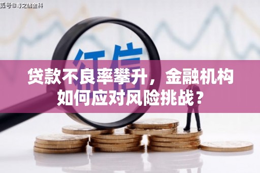 尉犁贷款不良率攀升，金融机构如何应对风险挑战？