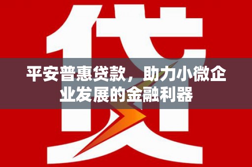 尉犁平安普惠贷款，助力小微企业发展的金融利器