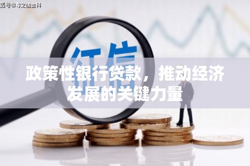 尉犁政策性银行贷款，推动经济发展的关键力量