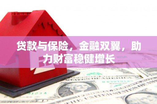 尉犁贷款与保险，金融双翼，助力财富稳健增长