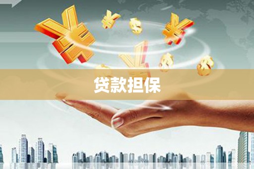 尉犁贷款担保