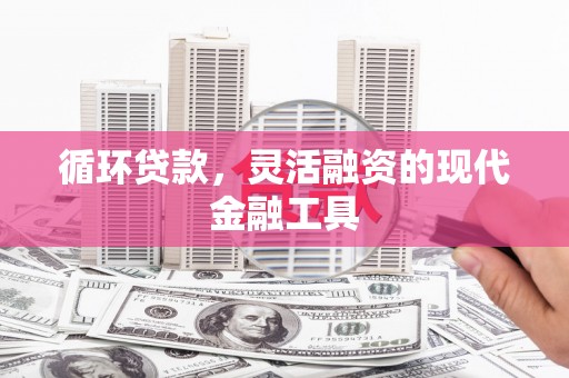 尉犁循环贷款，灵活融资的现代金融工具