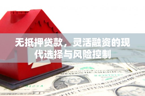 尉犁无抵押贷款，灵活融资的现代选择与风险控制