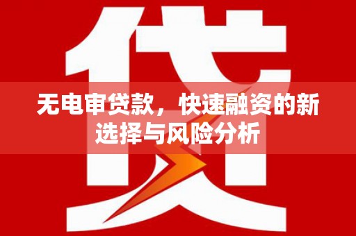 尉犁无电审贷款，快速融资的新选择与风险分析