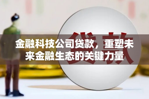 尉犁金融科技公司贷款，重塑未来金融生态的关键力量