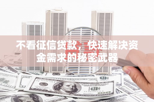 尉犁不看征信贷款，快速解决资金需求的秘密武器