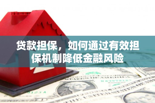 尉犁贷款担保，如何通过有效担保机制降低金融风险