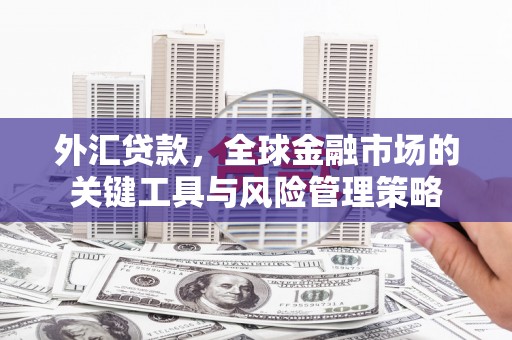 尉犁外汇贷款，全球金融市场的关键工具与风险管理策略