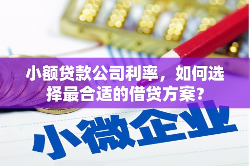 尉犁小额贷款公司利率，如何选择最合适的借贷方案？