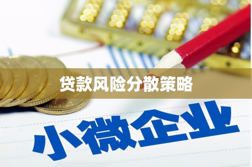 尉犁贷款风险分散策略