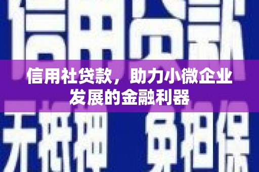 尉犁信用社贷款，助力小微企业发展的金融利器