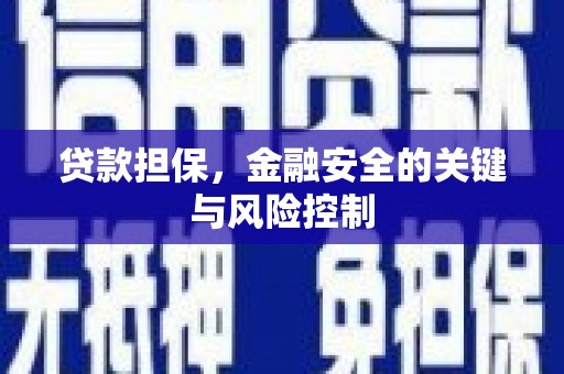 尉犁贷款担保，金融安全的关键与风险控制