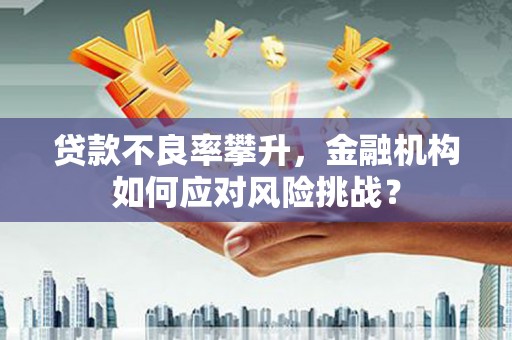 尉犁贷款不良率攀升，金融机构如何应对风险挑战？