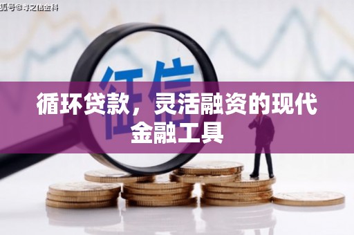 尉犁循环贷款，灵活融资的现代金融工具