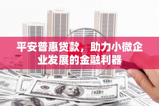 尉犁平安普惠贷款，助力小微企业发展的金融利器