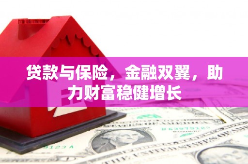 尉犁贷款与保险，金融双翼，助力财富稳健增长