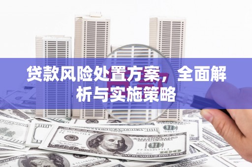 尉犁贷款风险处置方案，全面解析与实施策略