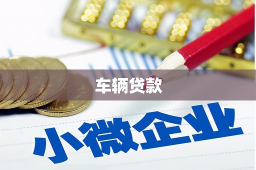 尉犁车辆贷款